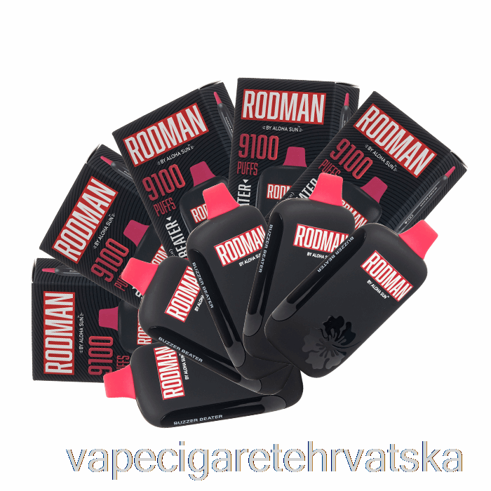 Vape Hrvatska [10-pack] Rodman 9100 Disposable